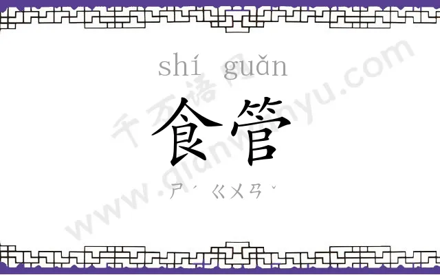 食管