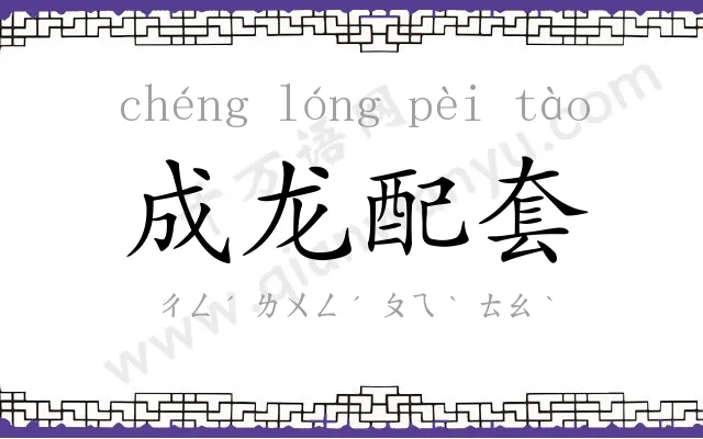 成龙配套