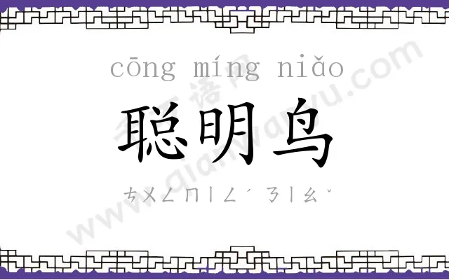 聪明鸟