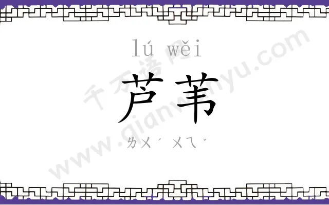 芦苇