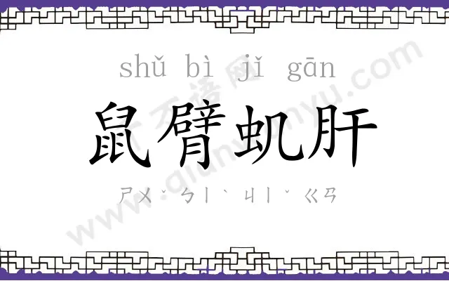 鼠臂虮肝