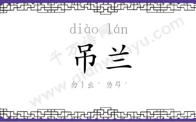 吊兰
