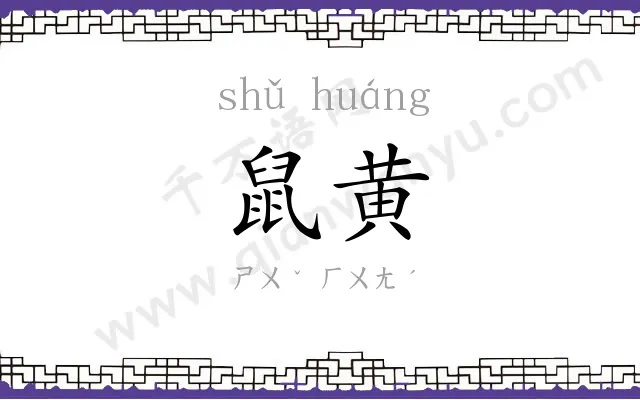 鼠黄
