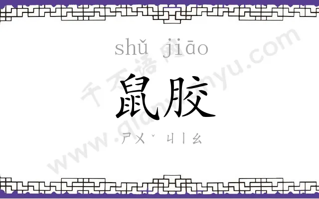鼠胶