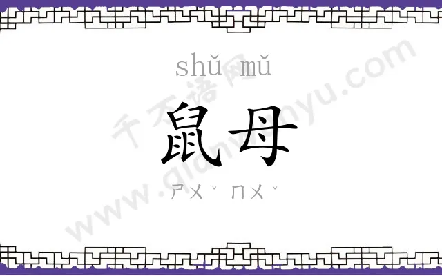 鼠母