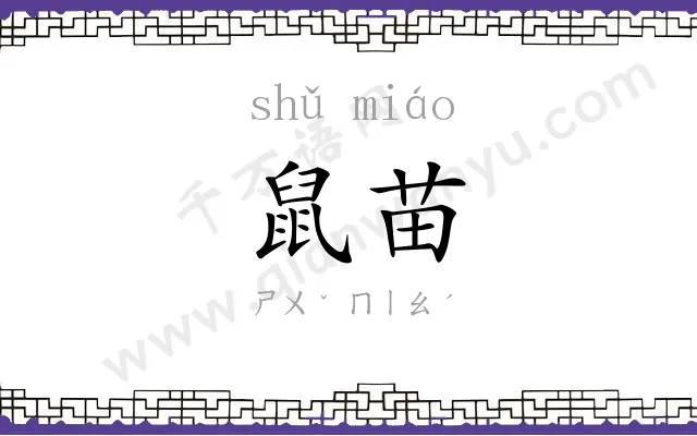 鼠苗