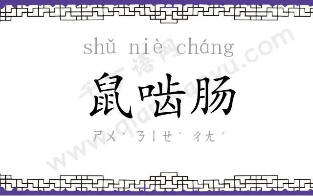 鼠啮肠