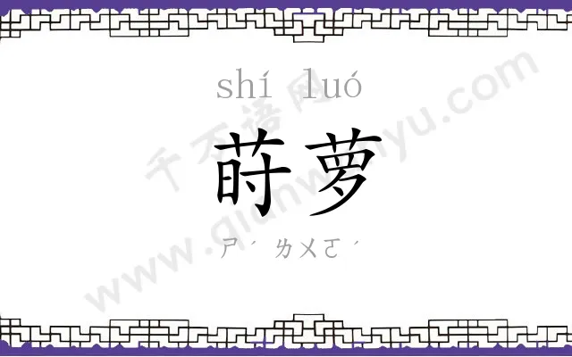 莳萝