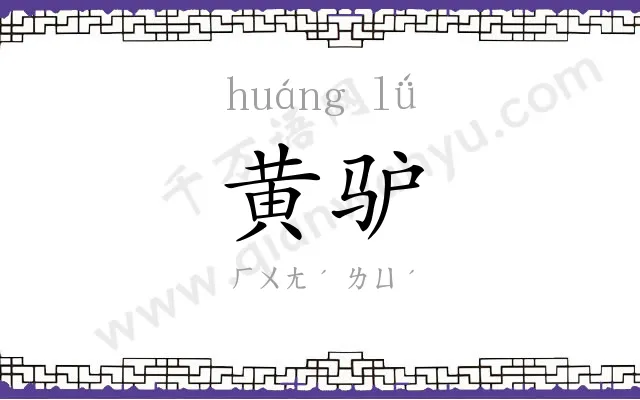 黄驴