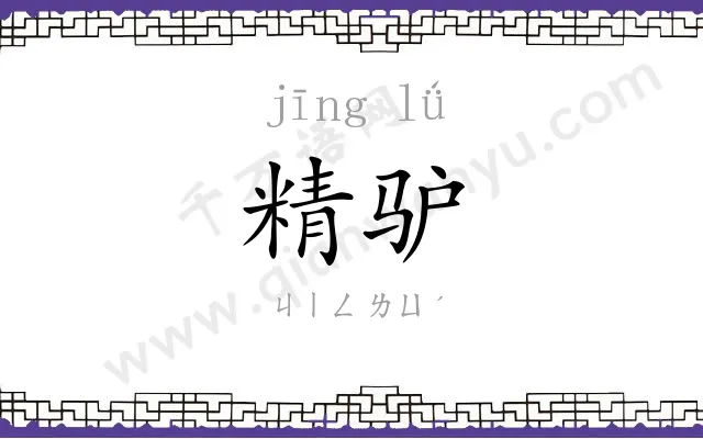 精驴