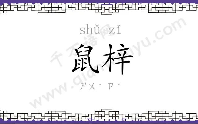 鼠梓