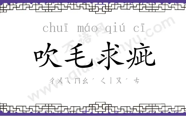 吹毛求疵