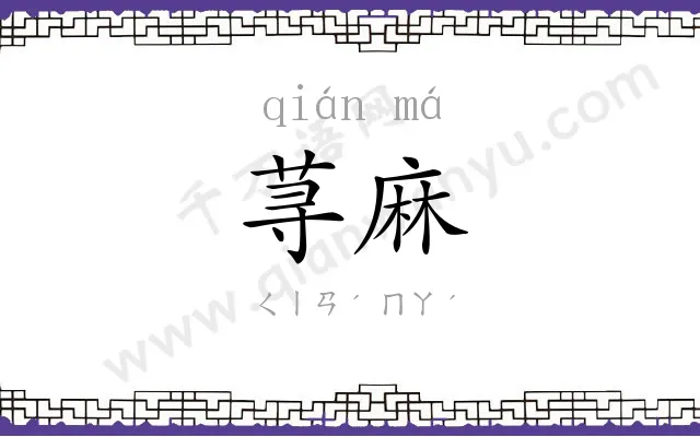 荨麻