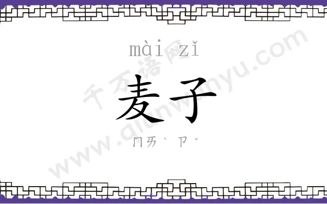 麦子