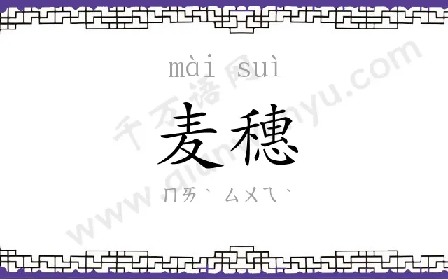 麦穗