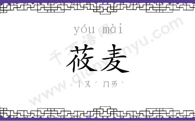 莜麦