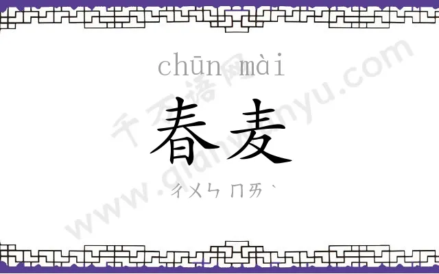 春麦