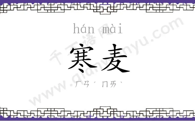 寒麦