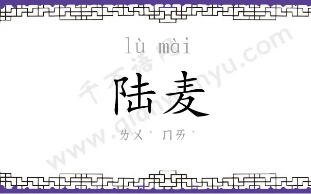 陆麦