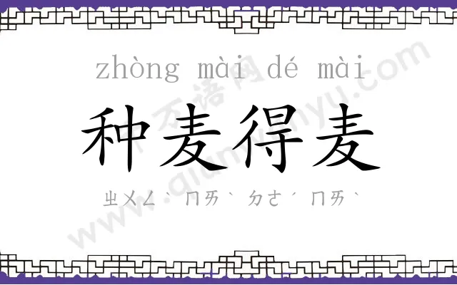 种麦得麦