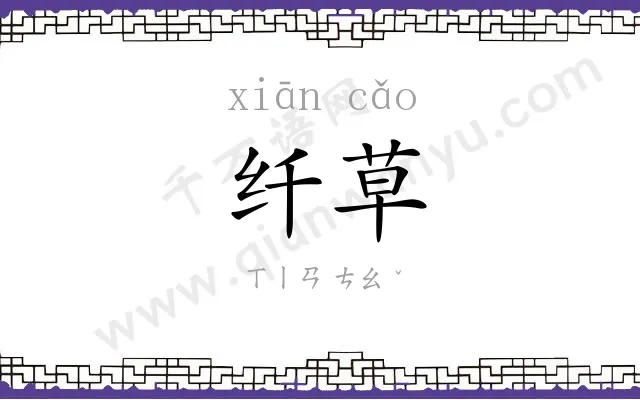 纤草