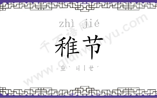稚节