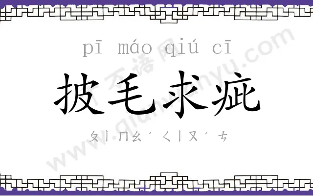披毛求疵