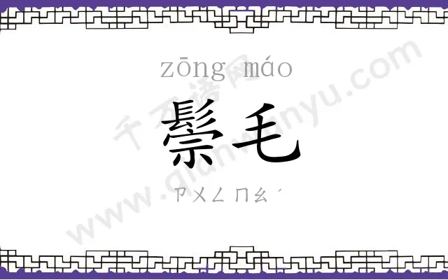 鬃毛