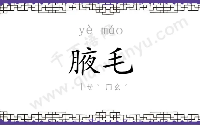 腋毛