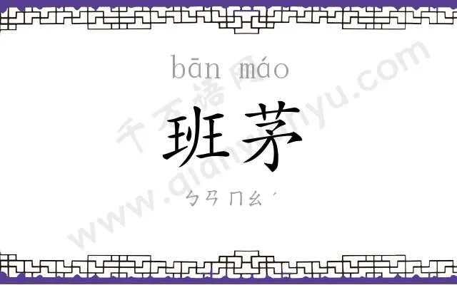 班茅