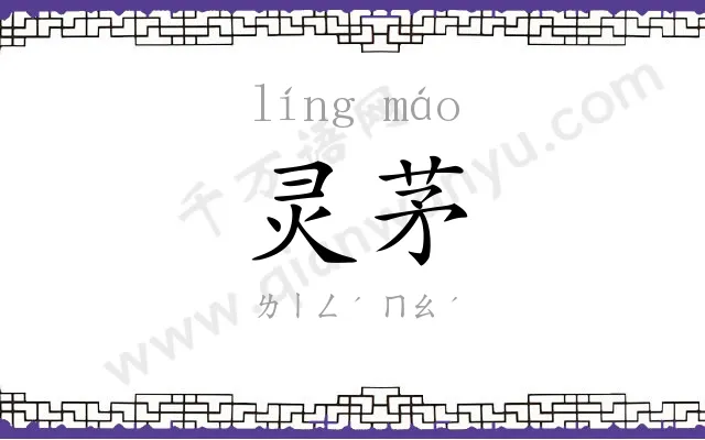灵茅