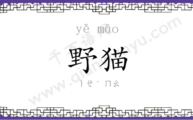野猫