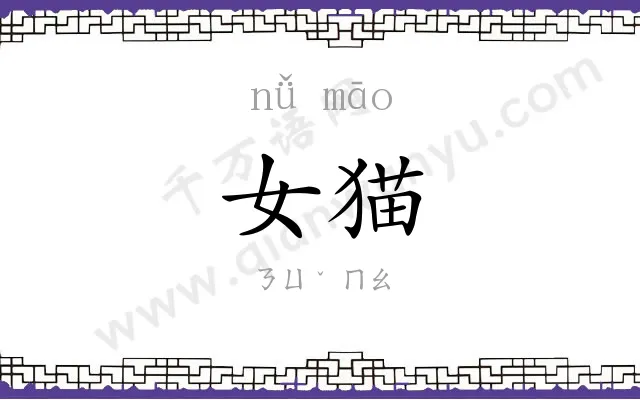 女猫