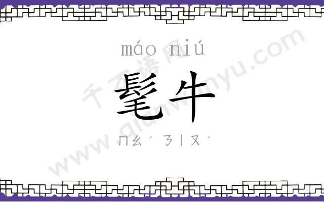 髦牛