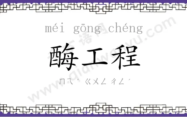 酶工程