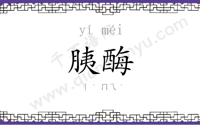 胰酶