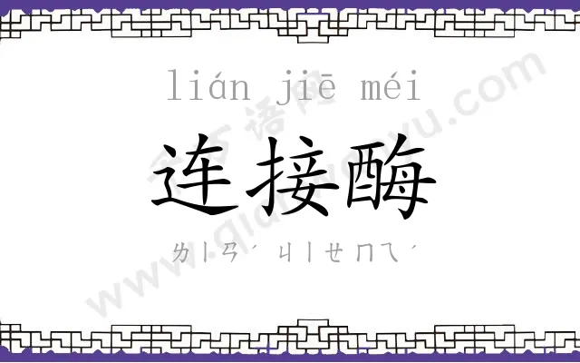 连接酶