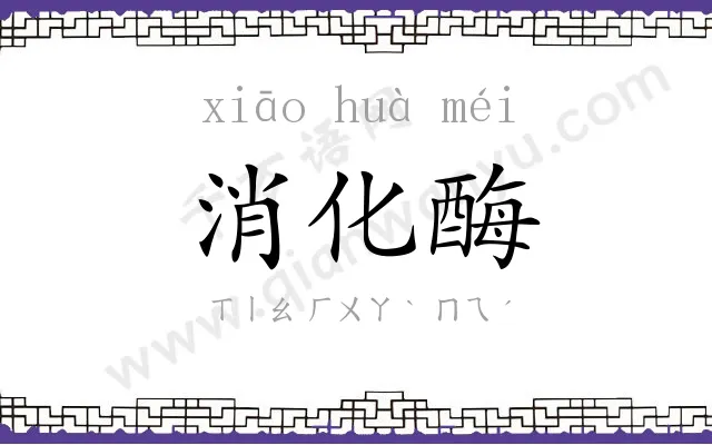 消化酶