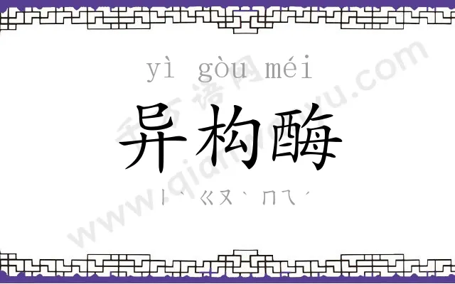 异构酶