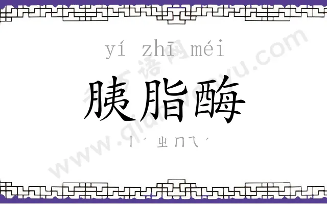 胰脂酶