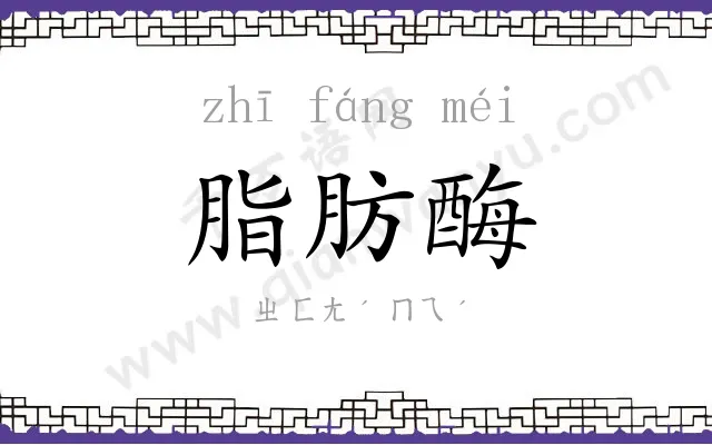 脂肪酶