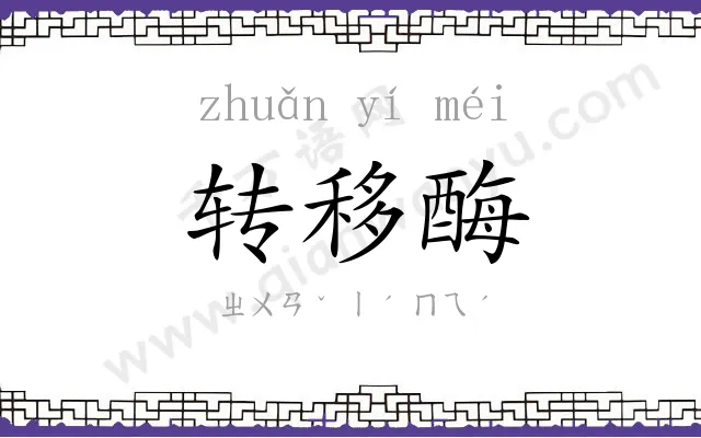 转移酶