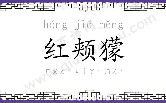红颊獴