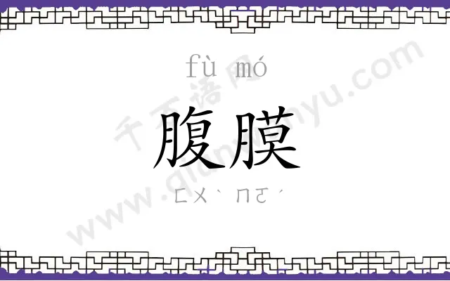 腹膜