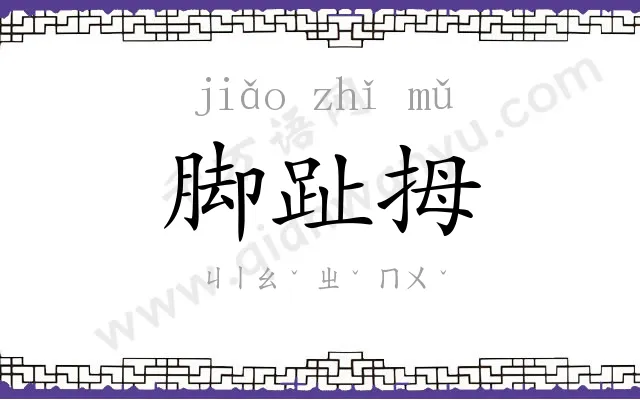 脚趾拇