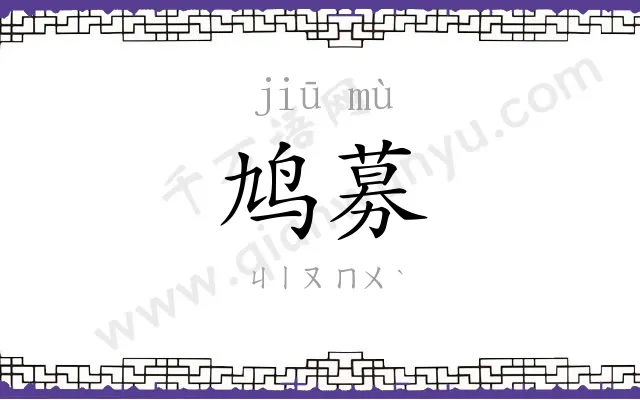 鸠募