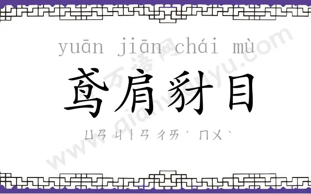 鸢肩豺目