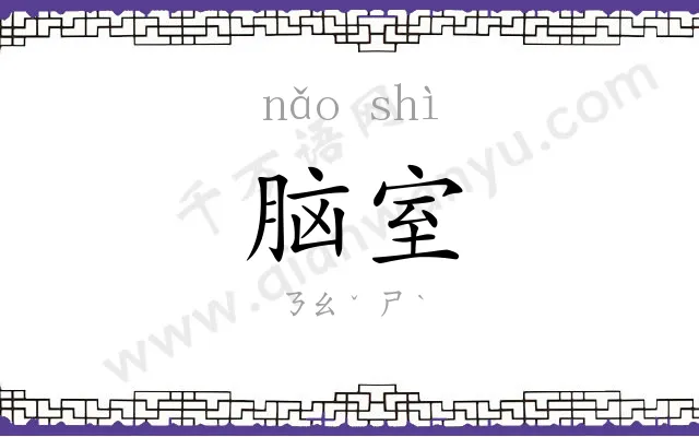 脑室