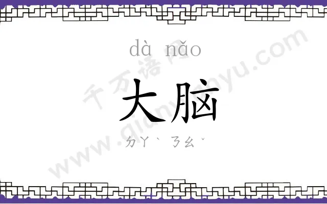 大脑