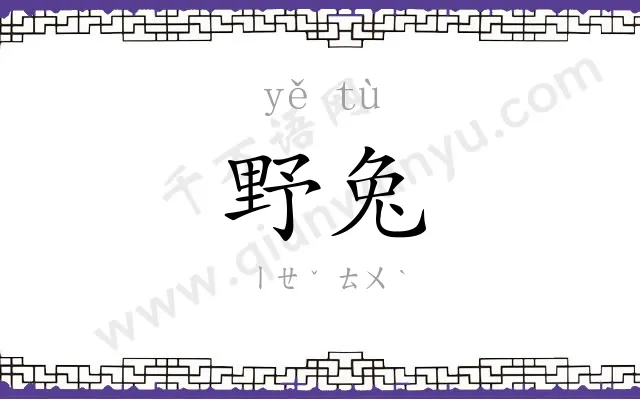 野兔